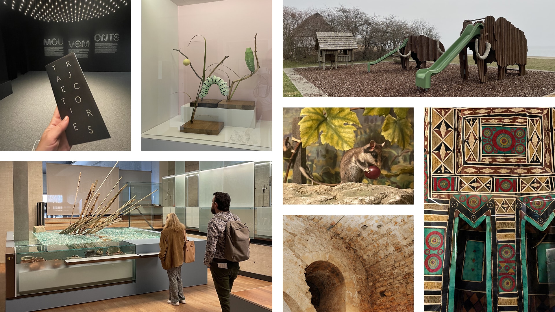 - Musées de Neuchâtel